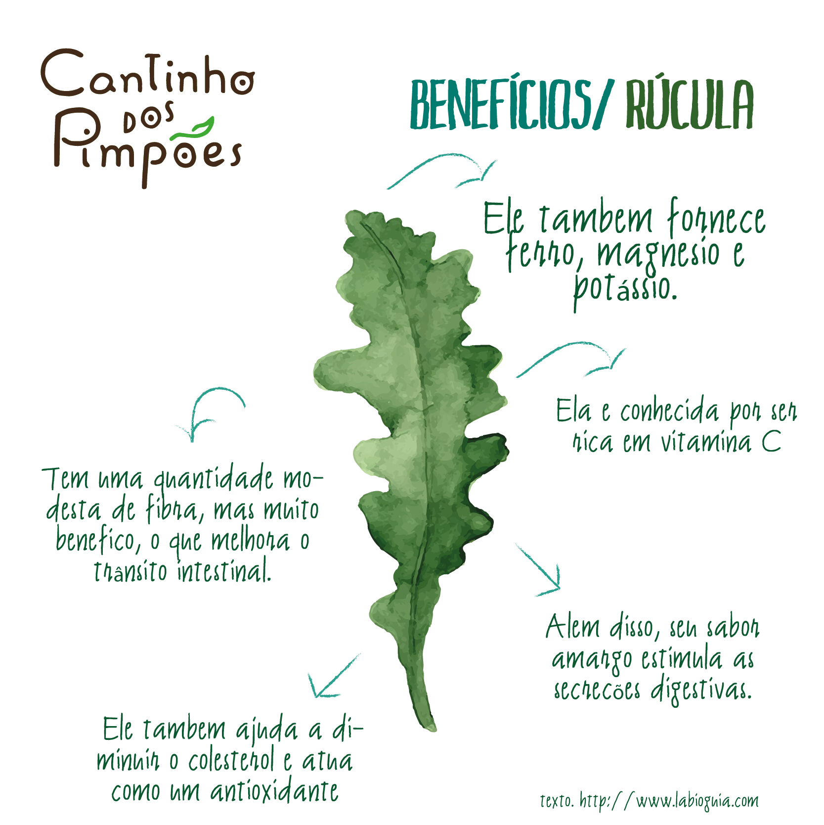 Beneficios Da Rucula Olá! A Rúcula é Uma Hortaliça Saborosa E